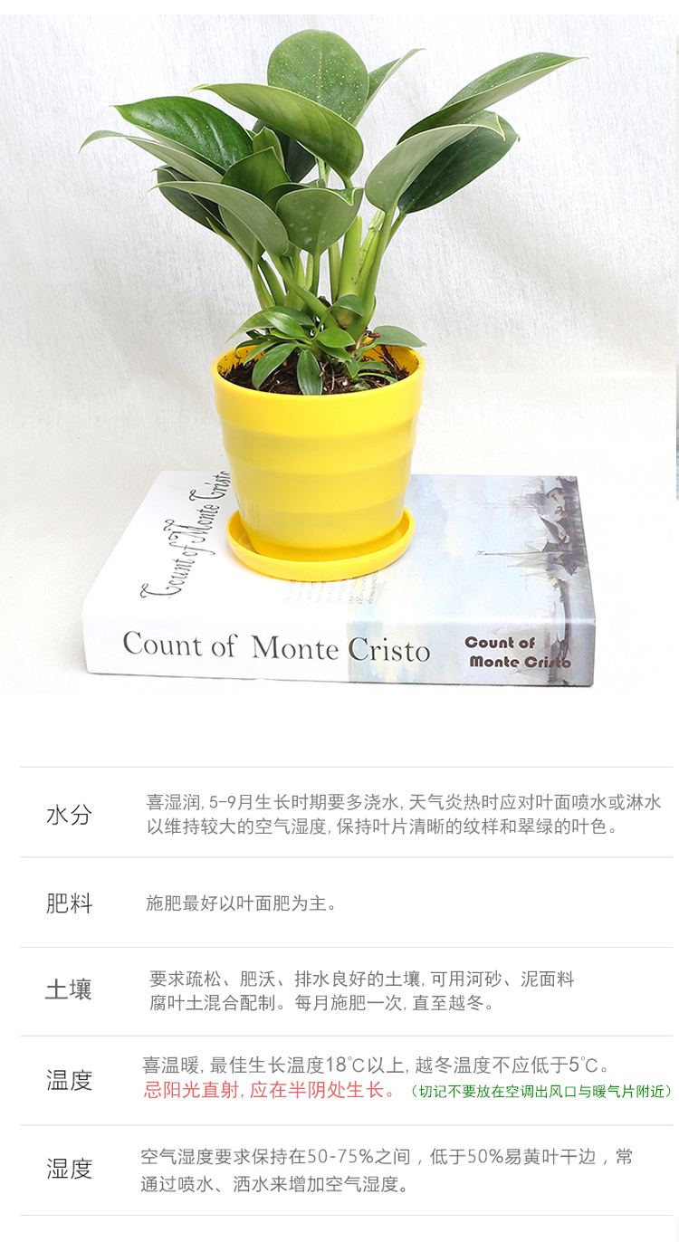金钻4-.jpg